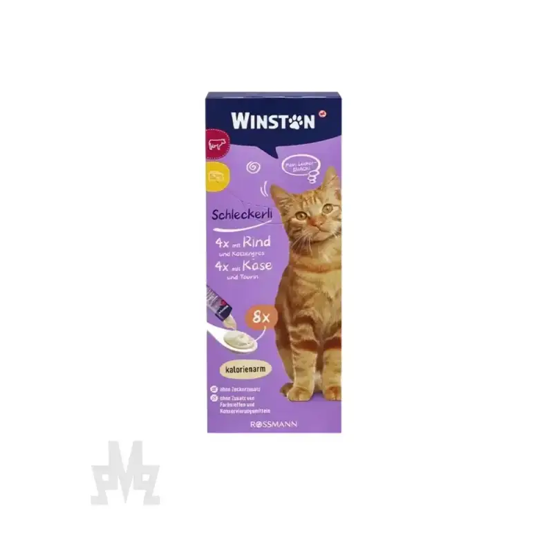 بستنی گربه وینستون 4.webp