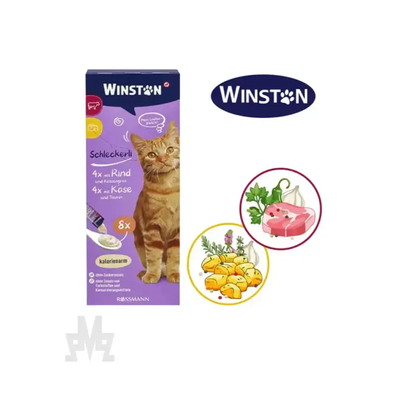 بستنی گربه وینستون 5.webp