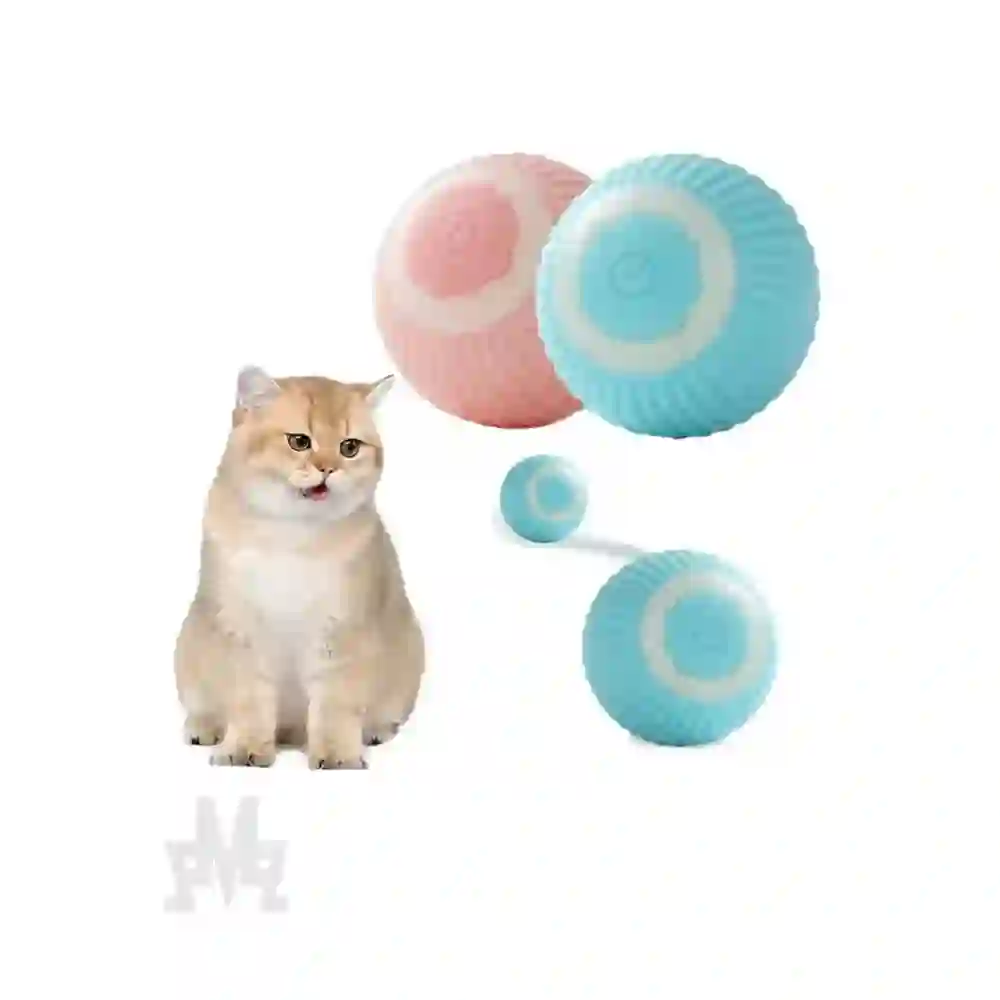 product-background