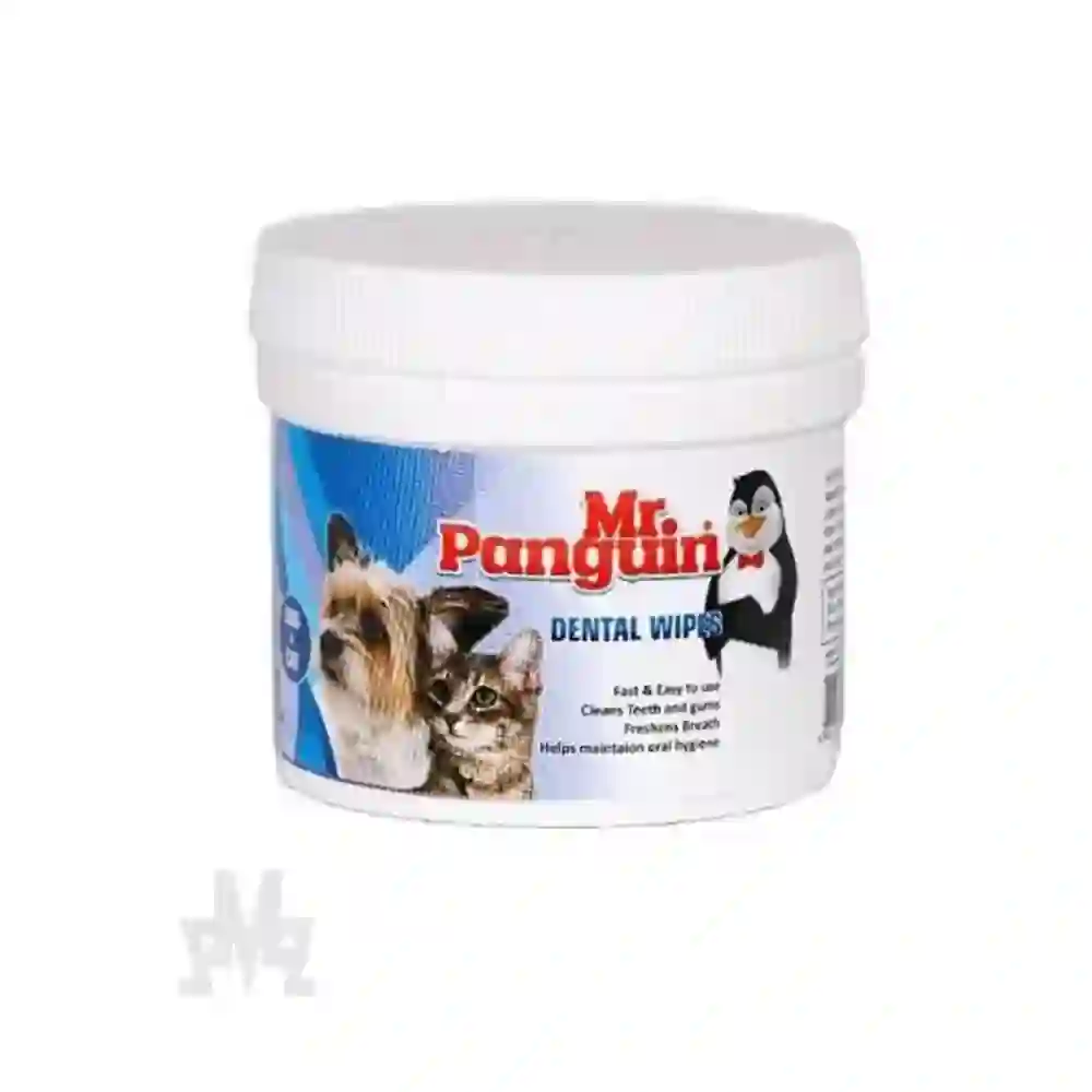 product-background
