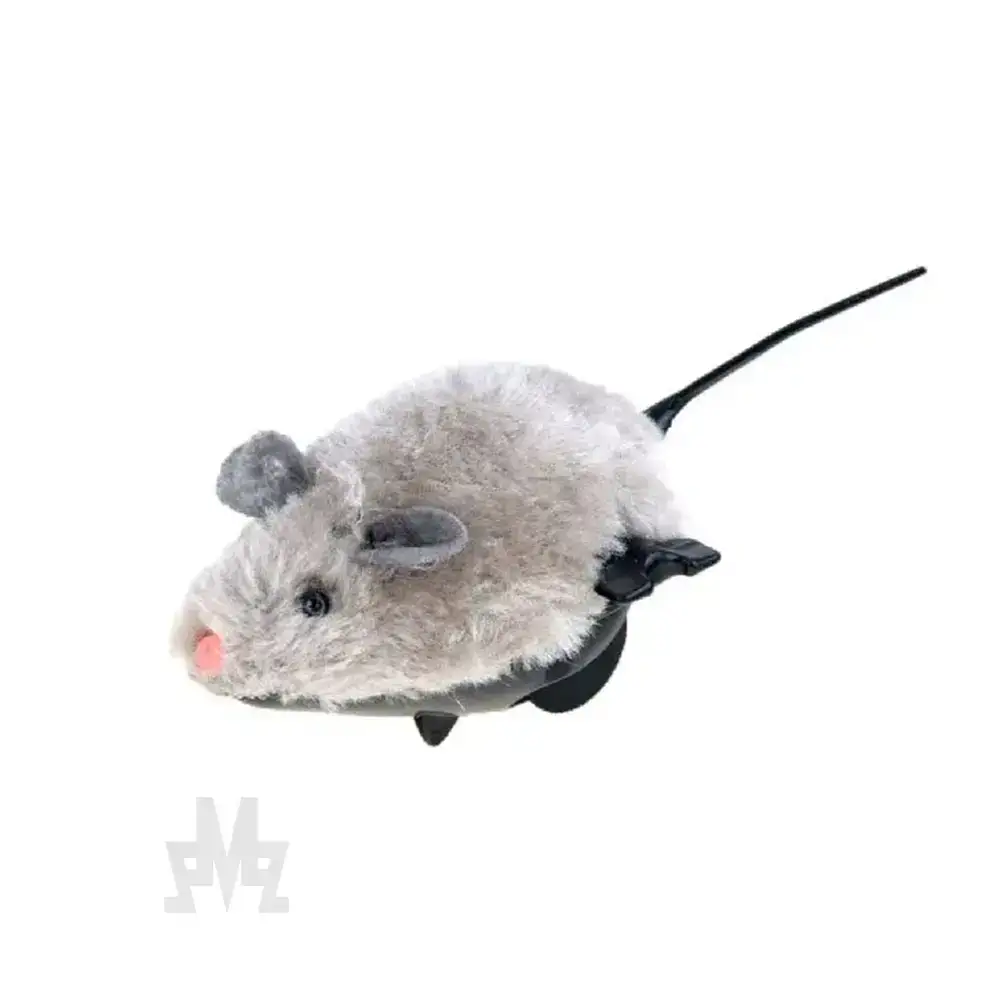 4170